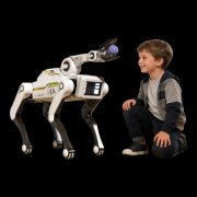 其奇特的开丰硕的互动体验